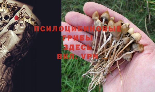 амфетамин Алексин