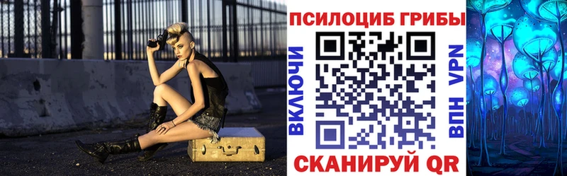 OMG tor  Петровск  Псилоцибиновые грибы мицелий 
